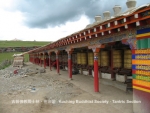 yaqingsilf-016